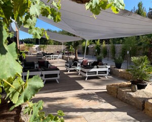 Outdoorbereich des Botanical