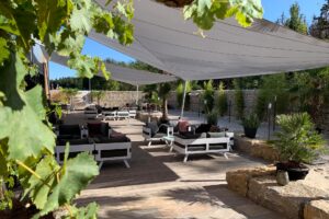 Outdoorbereich des Botanical